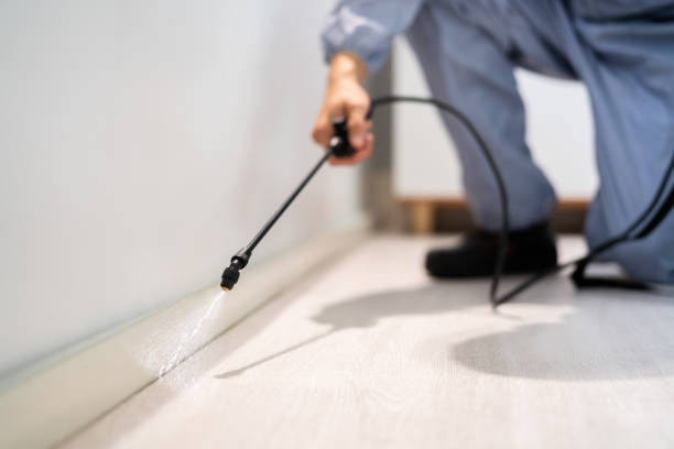 Bed Bug Pre-Treatment Preparation Assessment in Spring Green