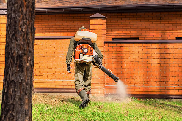 Bed Bug Clearance Verification and Documentation in Spring Green